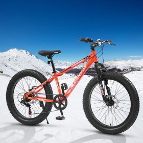 S24109 24 Inch Fat Tire Bike Adult/Youth Full Shimano 7 Speeds Mountain Bike, Dual Disc Brake, High-Carbon Steel Frame, Front Suspension